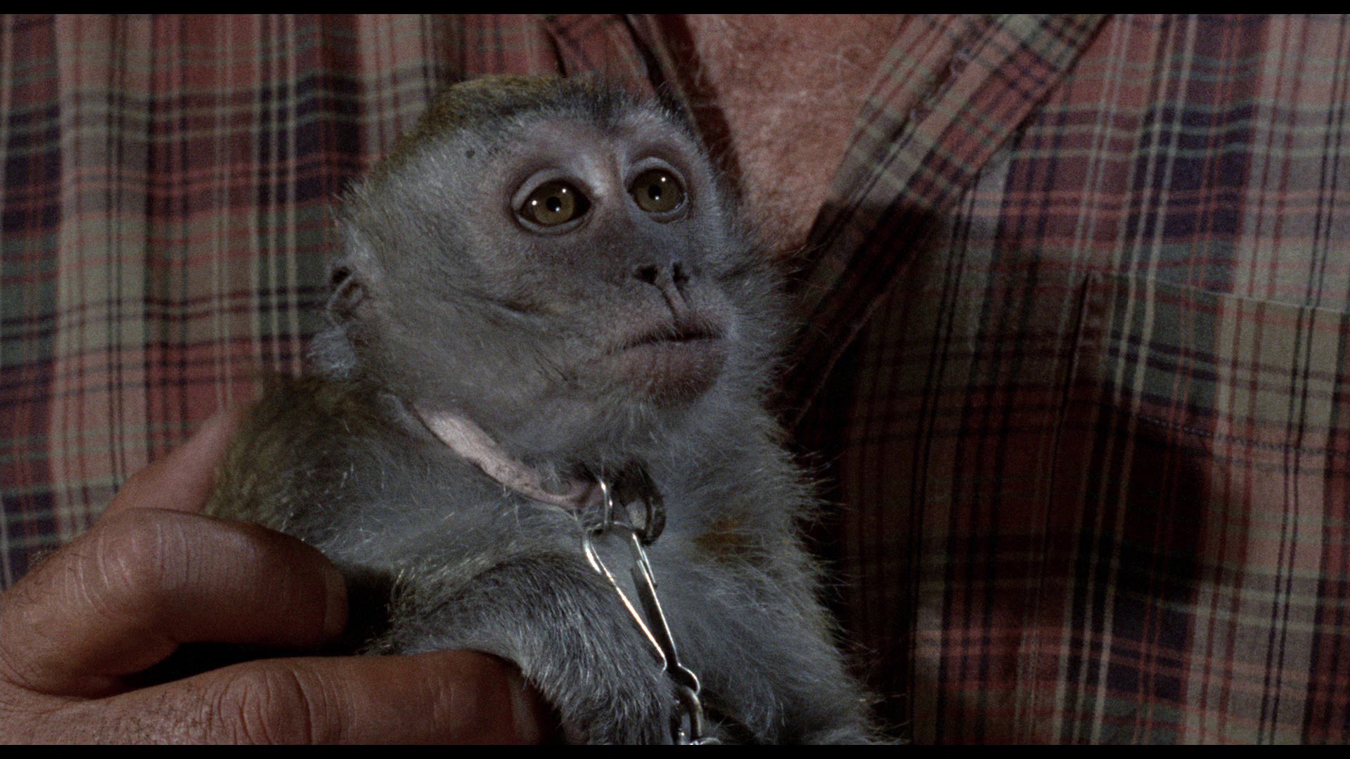 Screen capture from The Flight of the Phoenix