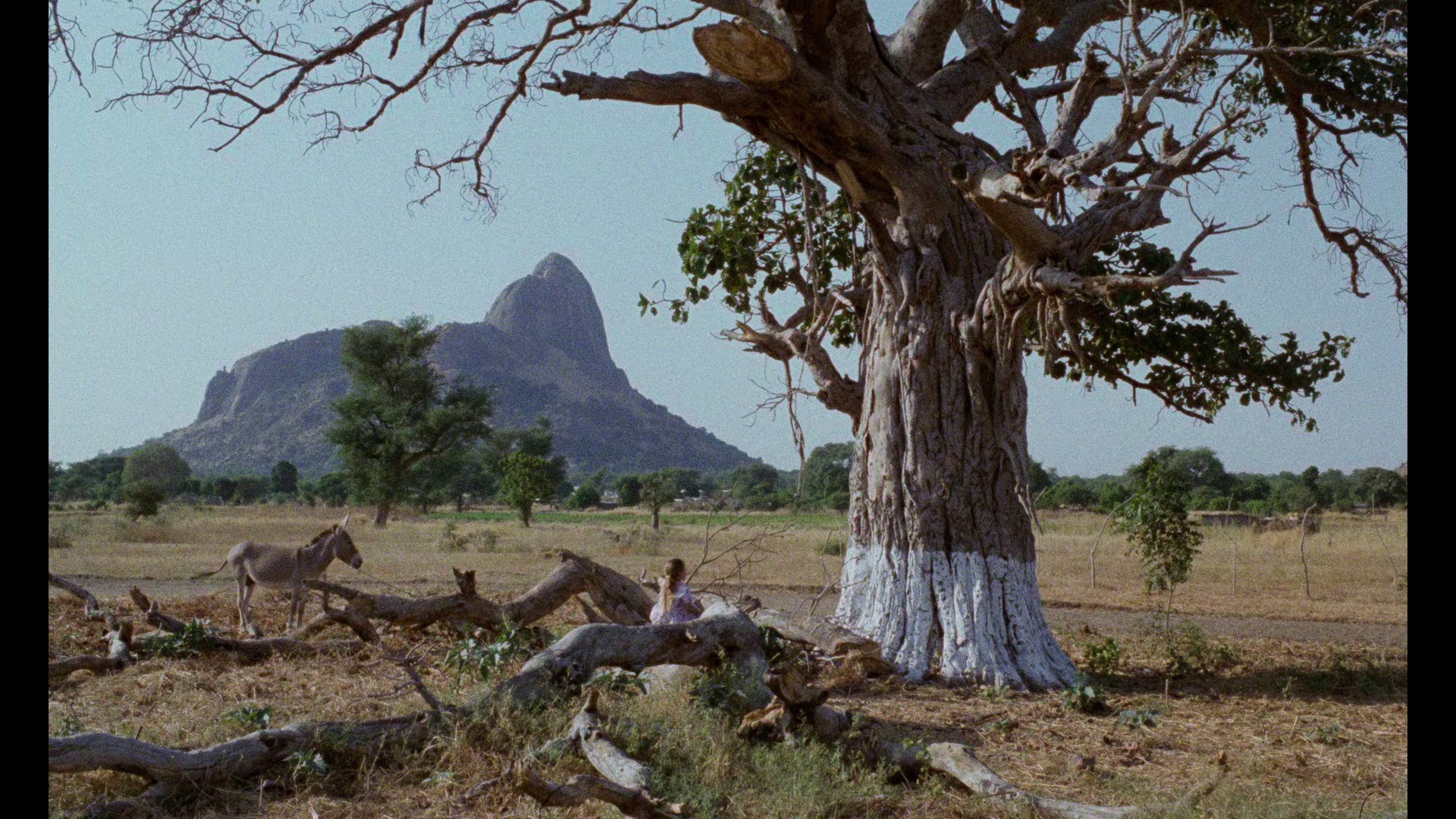 Screen capture from Chocolat