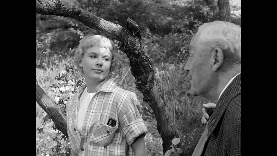 Screen capture from Wild Strawberries