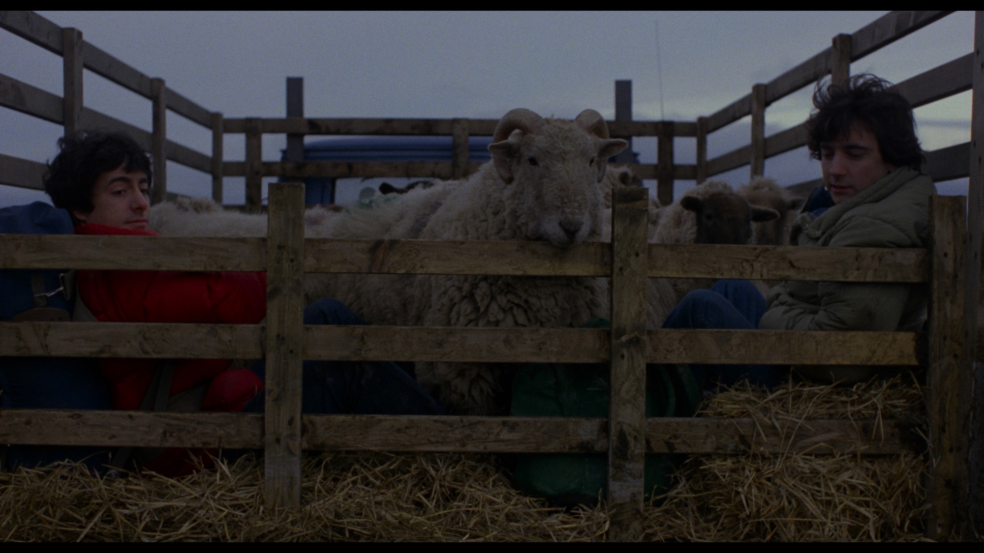 Screen capture from An American Werewolf in London