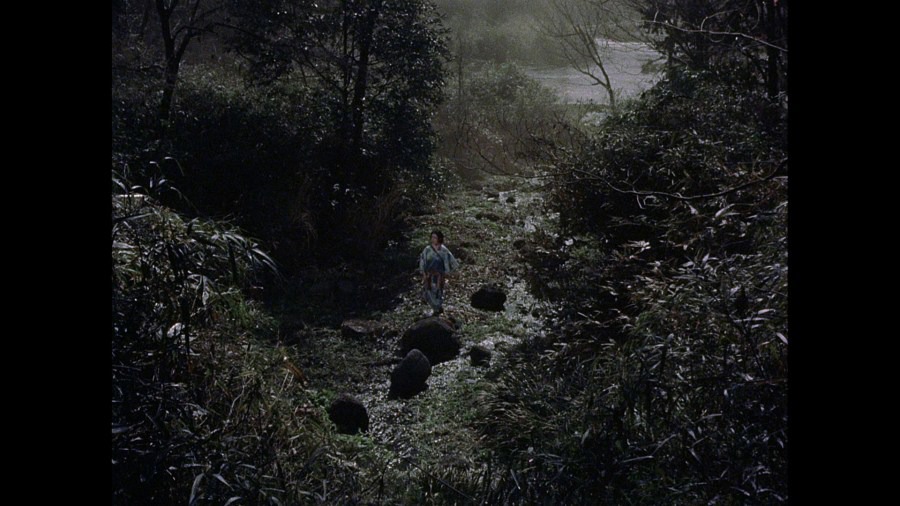 Screen capture from The Samurai Trilogy