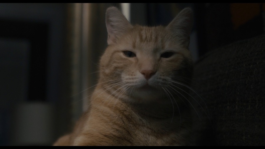 Screen capture from Inside Llewyn Davis