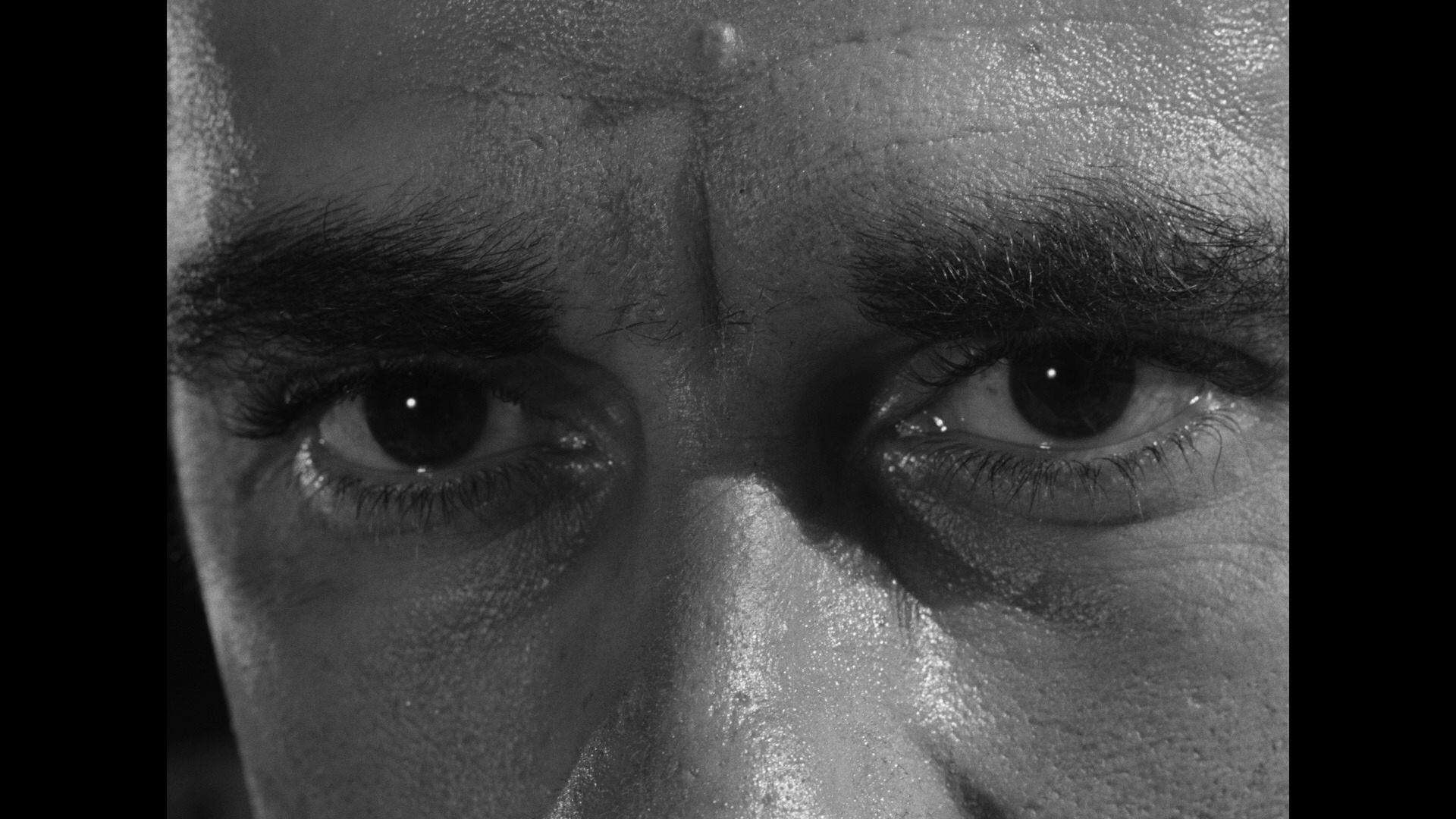 Screen capture from Cairo Station