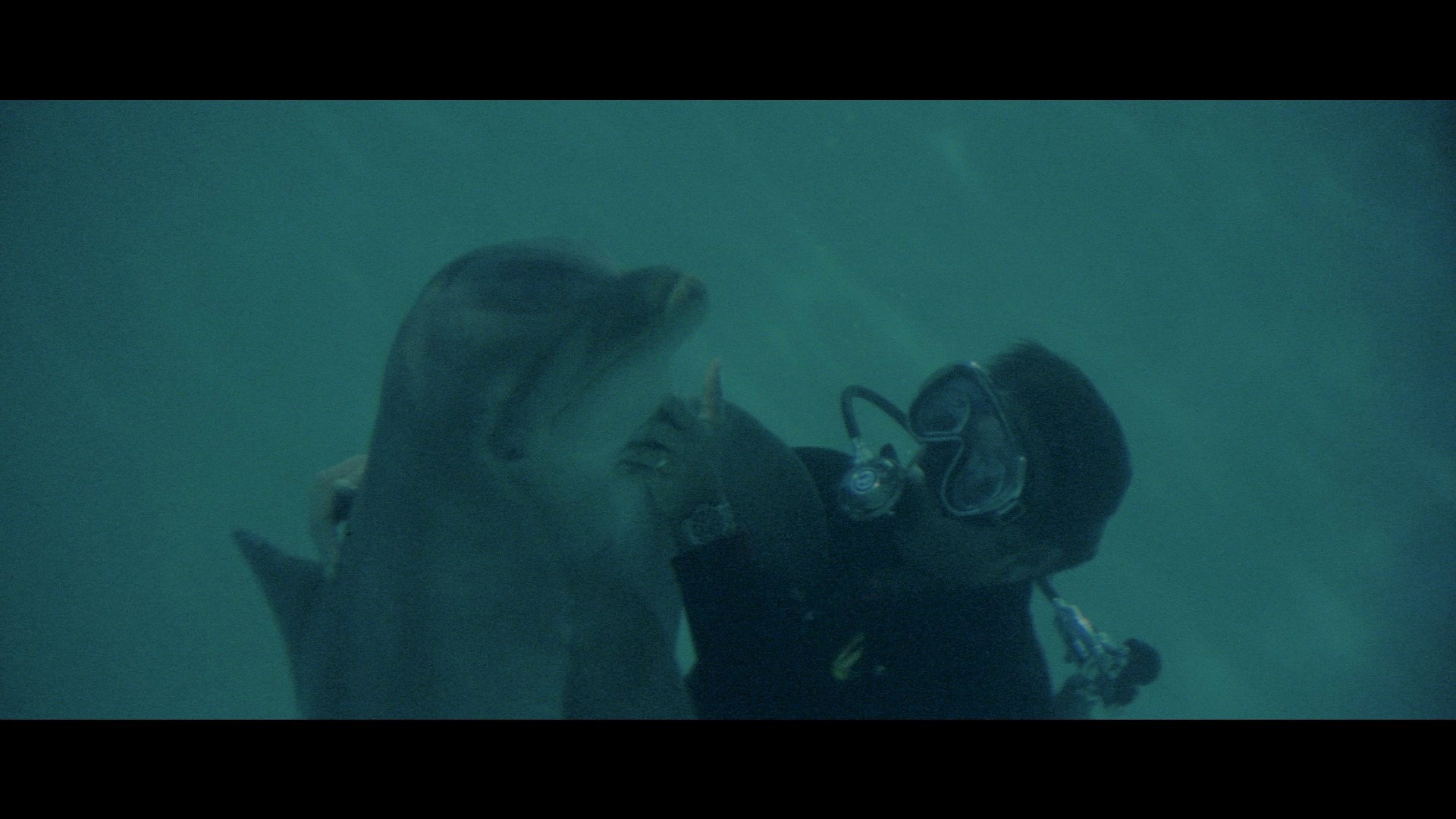 Screen capture from The Day of the Dolphin