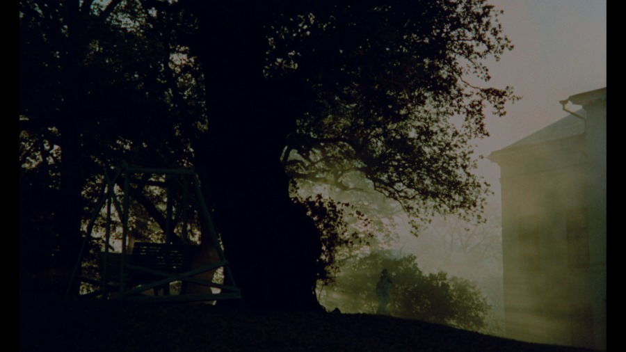 Screen capture from Cries and Whispers