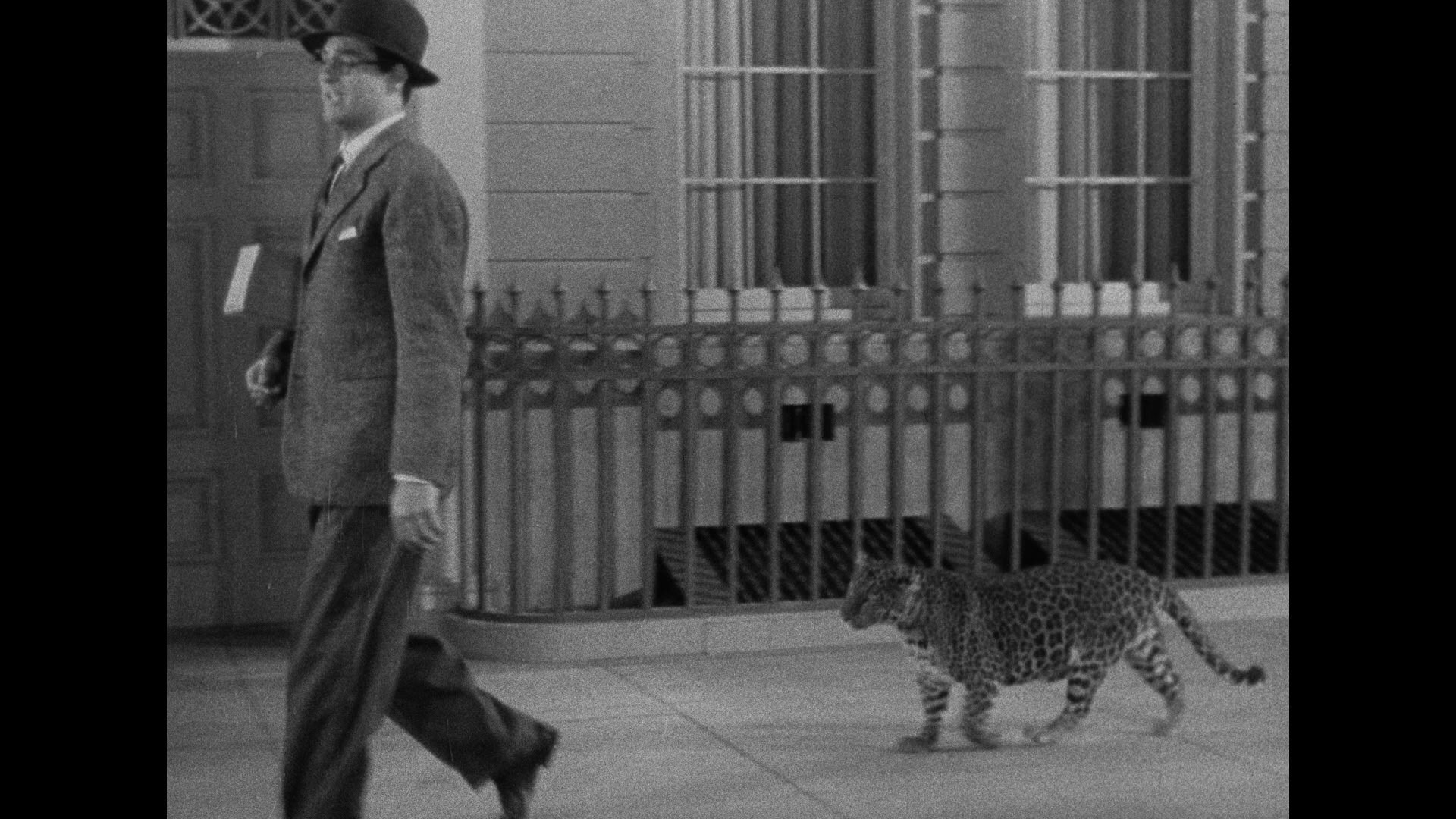 Screen capture from Bringing Up Baby