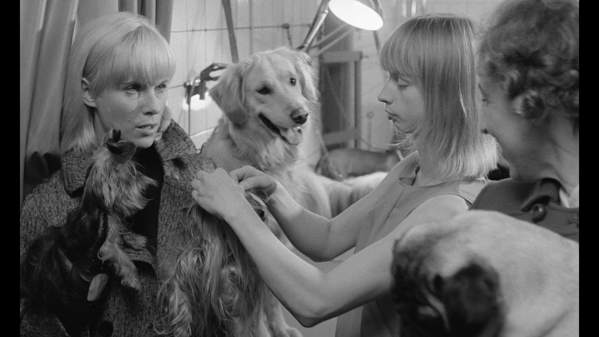 Screen capture from Three Films by Mai Zetterling