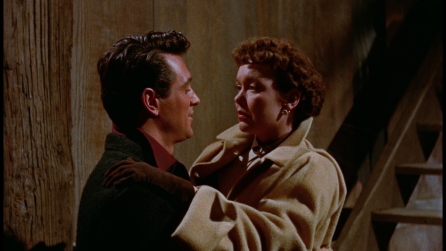 Screen capture from All That Heaven Allows