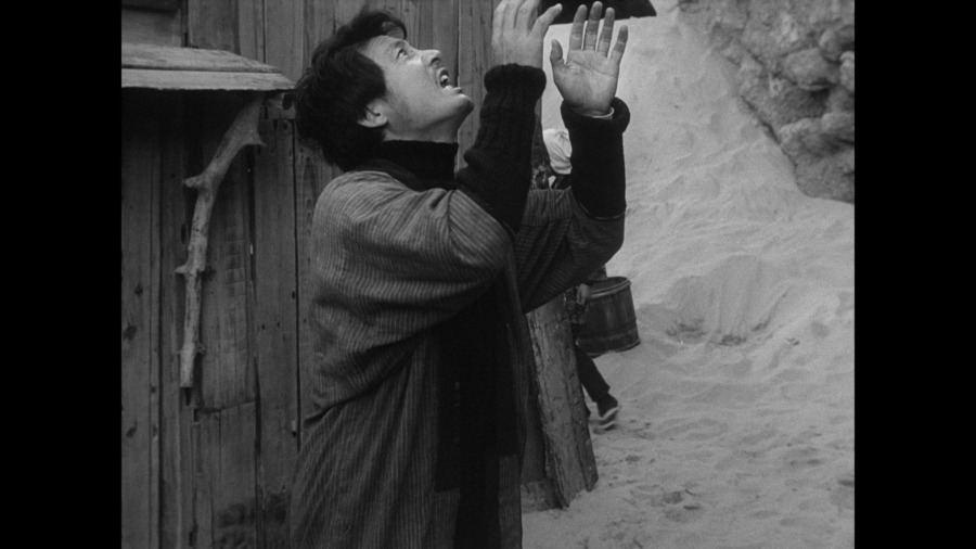Screen capture from Woman in the Dunes