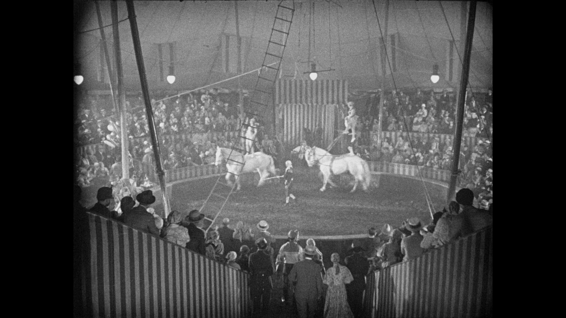 Screen capture from Freaks / The Unknown / The Mystic: Tod Browning’s Sideshow Shockers