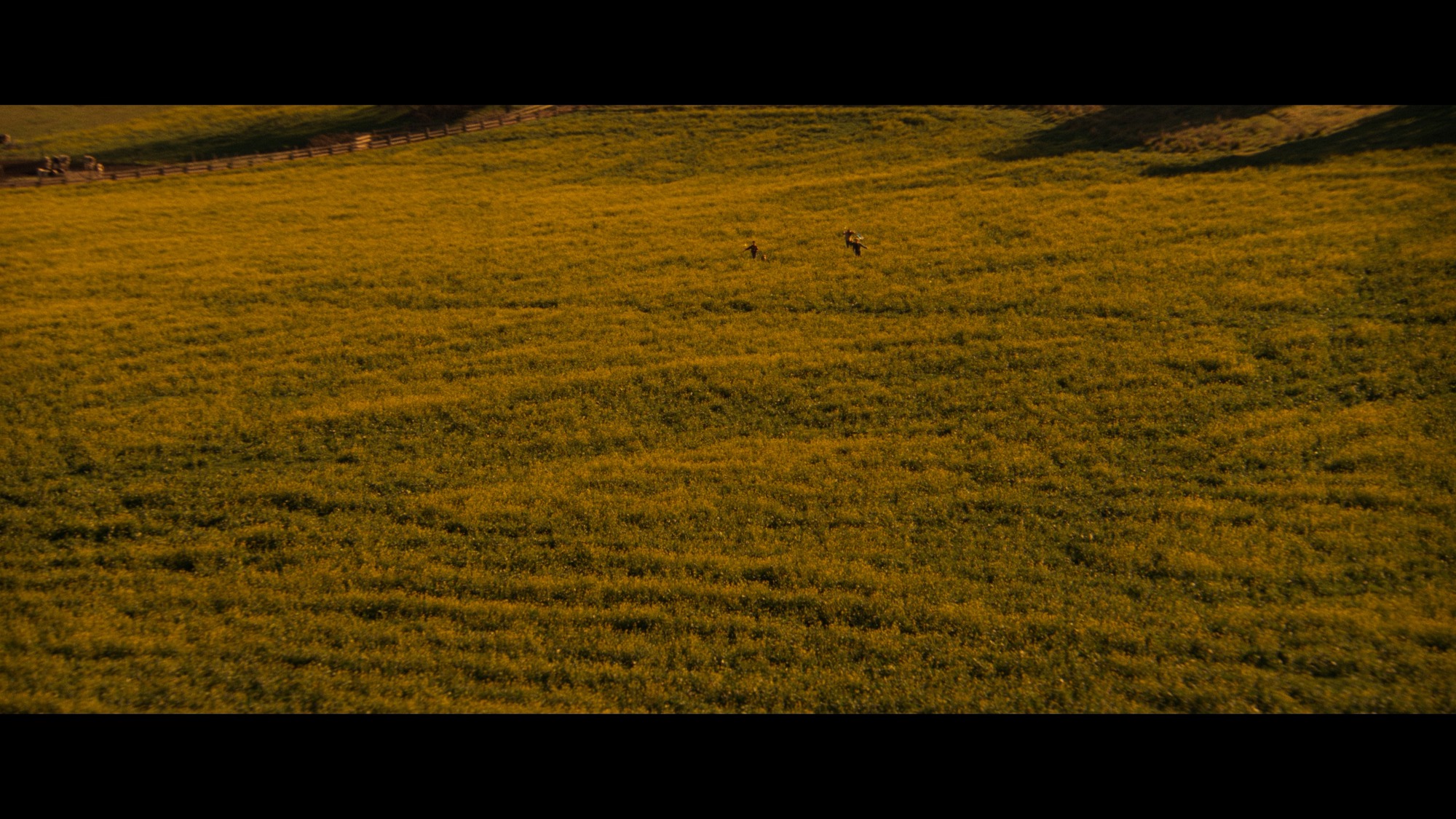 Screen capture from Flatliners