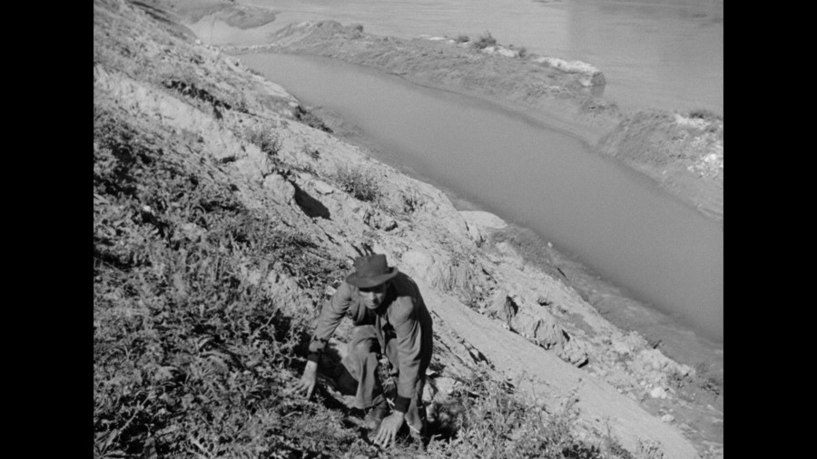 Screen capture from Bicycle Thieves