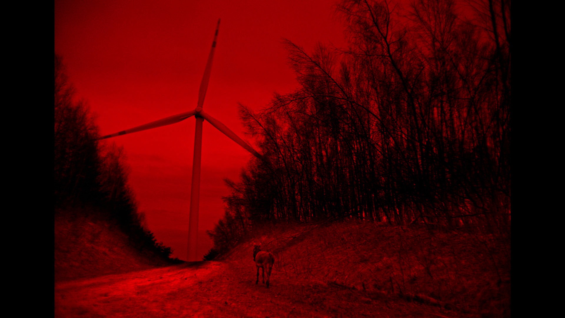 Screen capture from EO