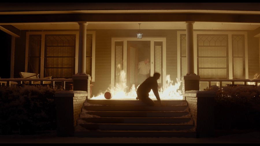 Screen capture from Wildlife