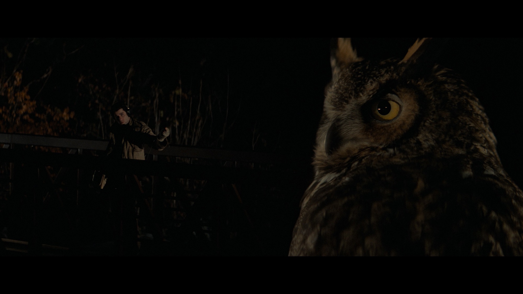 Screen capture from Blow Out