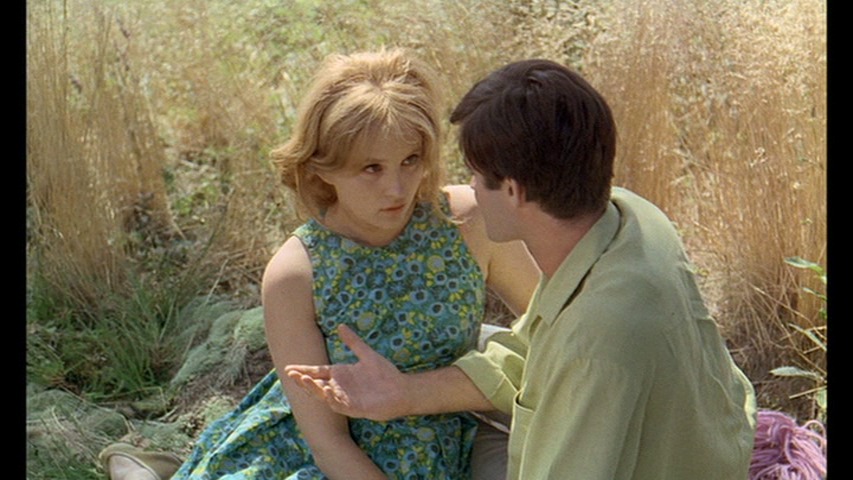 Screen capture from Le bonheur