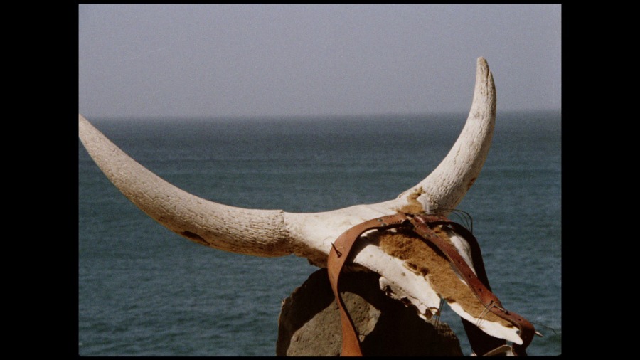 Screen capture from Touki Bouki / Redes