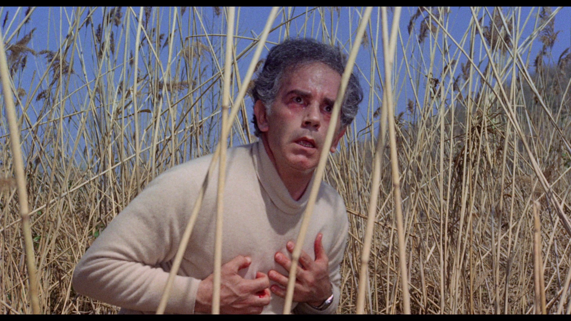 Screen capture from Years Of Lead: Five Classic Italian Crime Thrillers 1973-1977