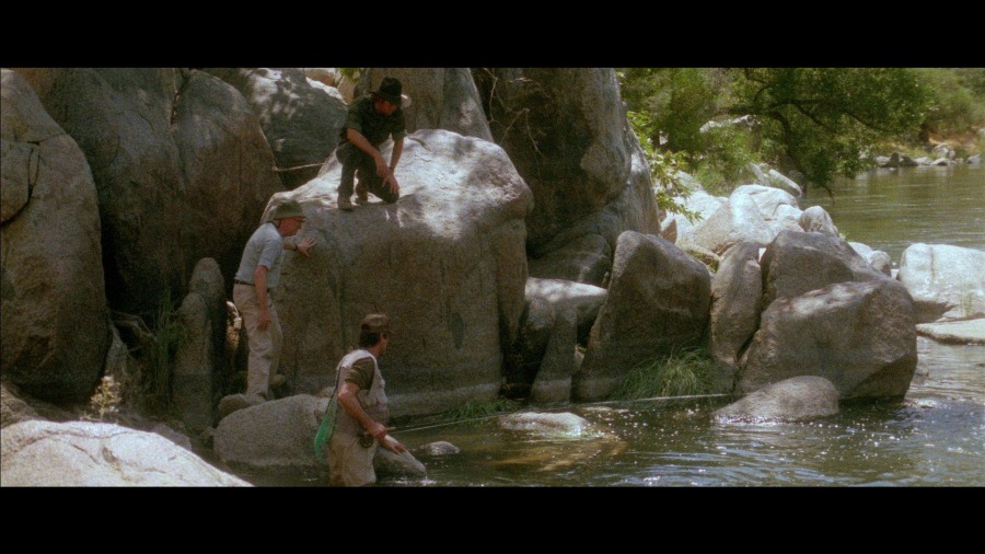 Screen capture from Short Cuts