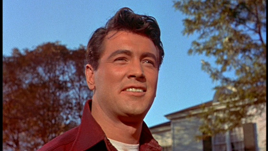 Screen capture from All That Heaven Allows