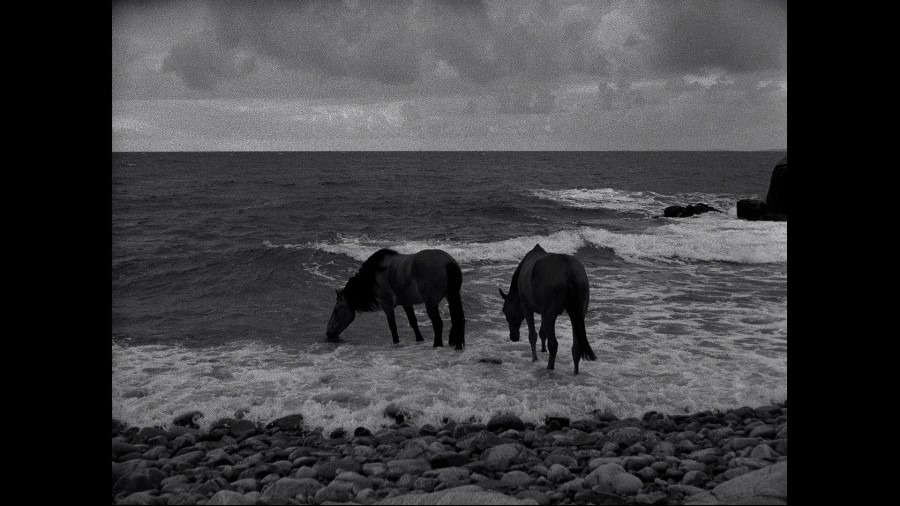 Screen capture from The Seventh Seal