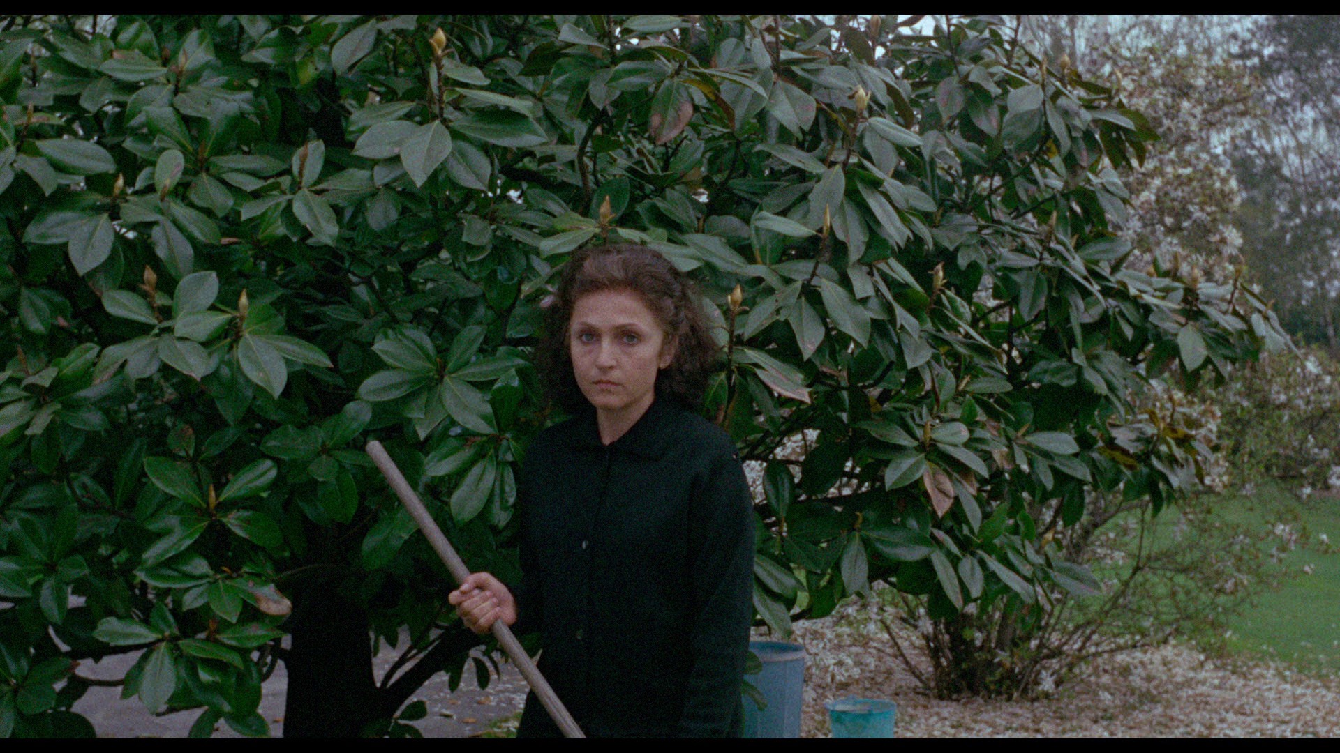 Screen capture from Pasolini 101