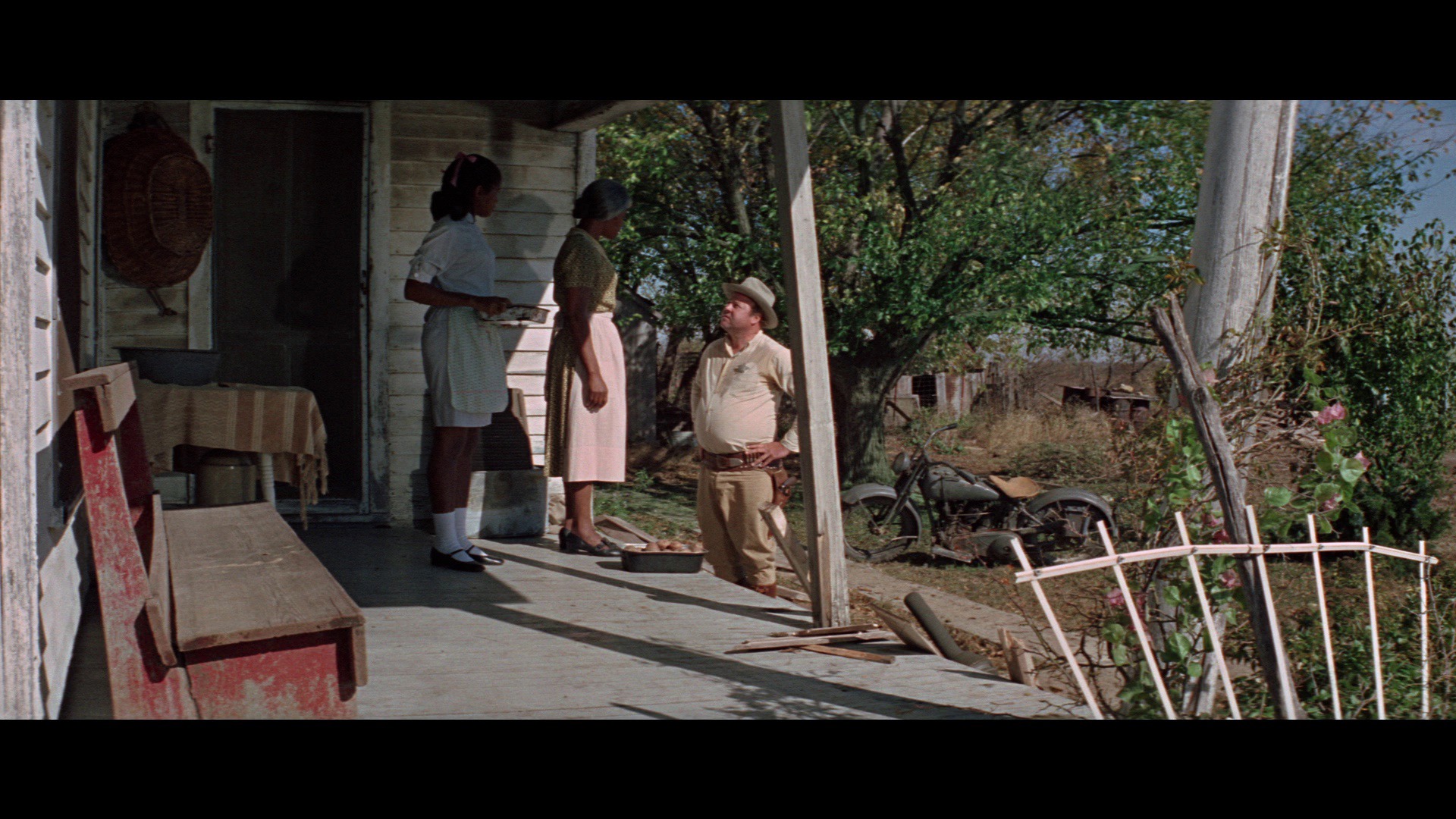 Screen capture from The Learning Tree