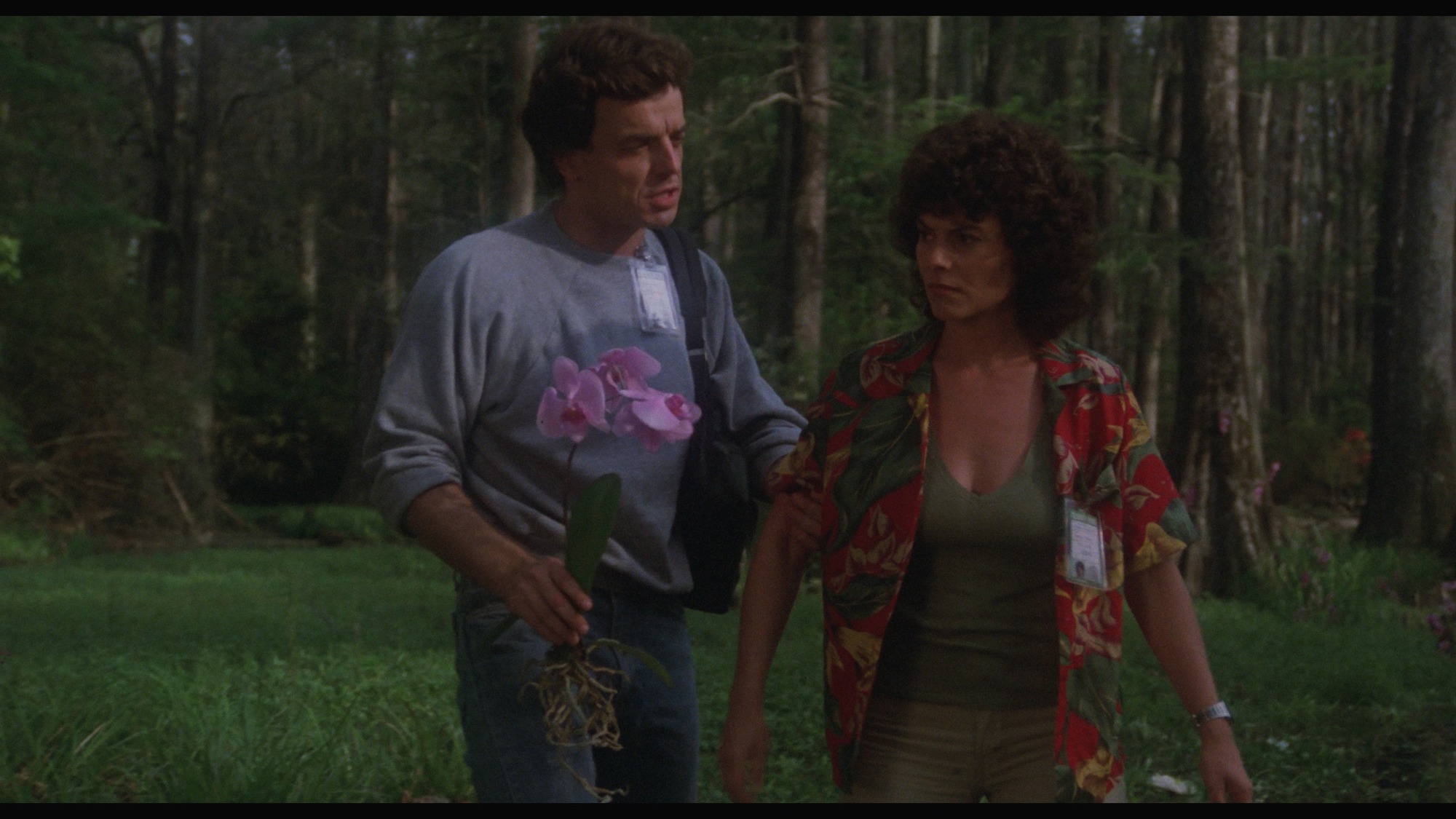Screen capture from Swamp Thing