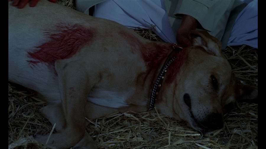 Screen capture from The Beast Must Die