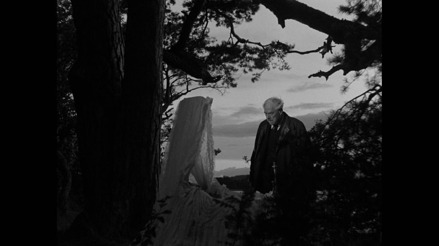 Screen capture from Ingmar Bergman’s Cinema