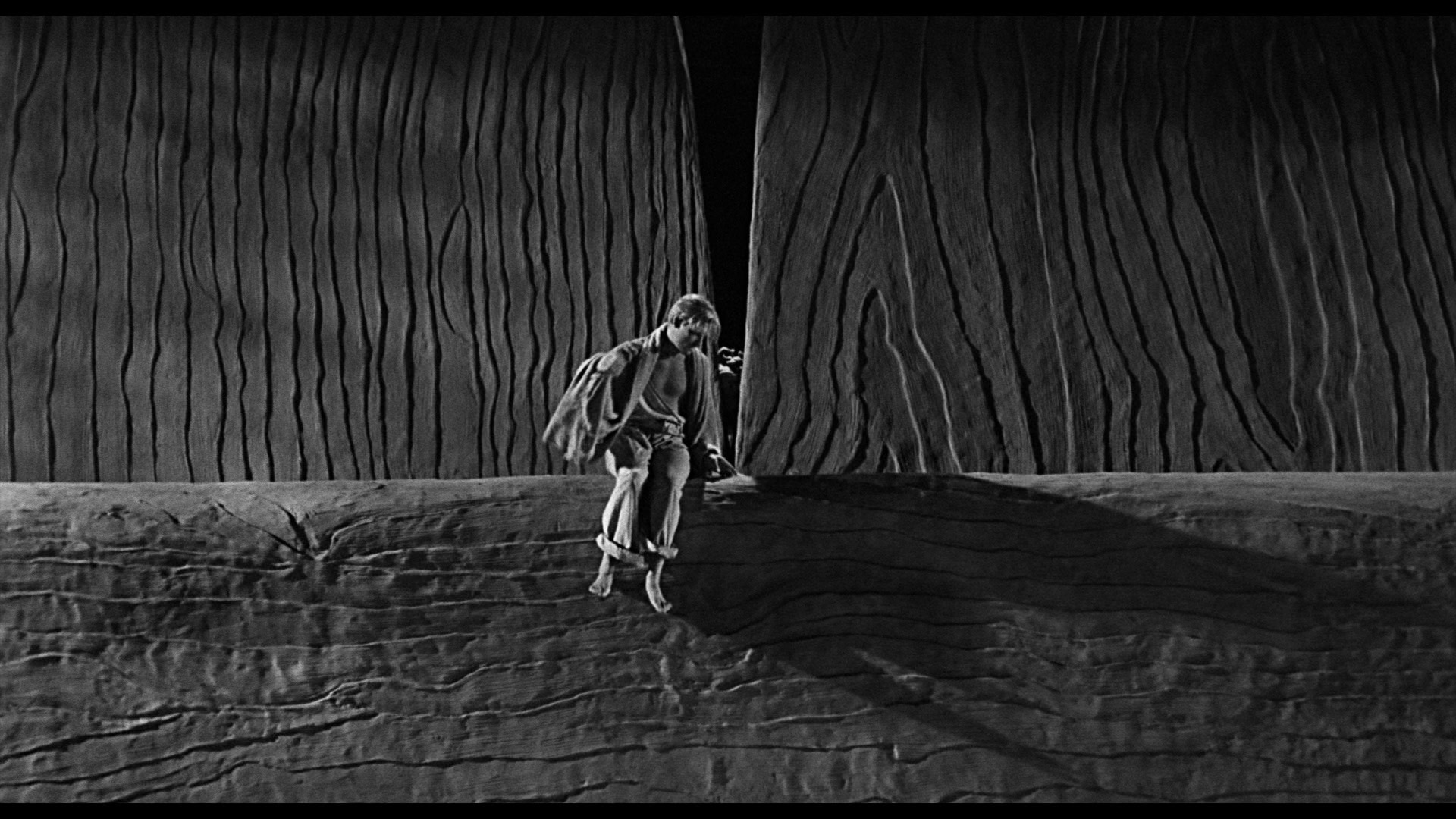 Screen capture from The Incredible Shrinking Man