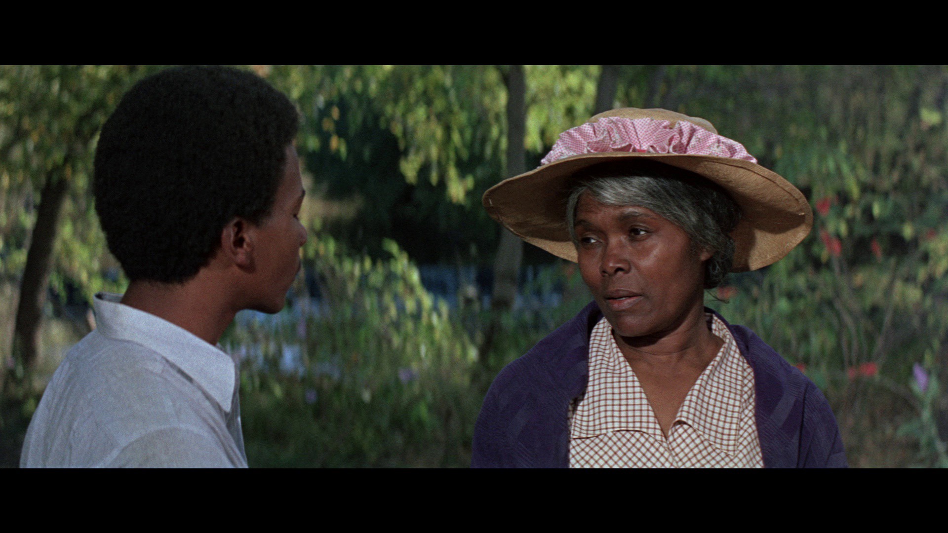 Screen capture from The Learning Tree