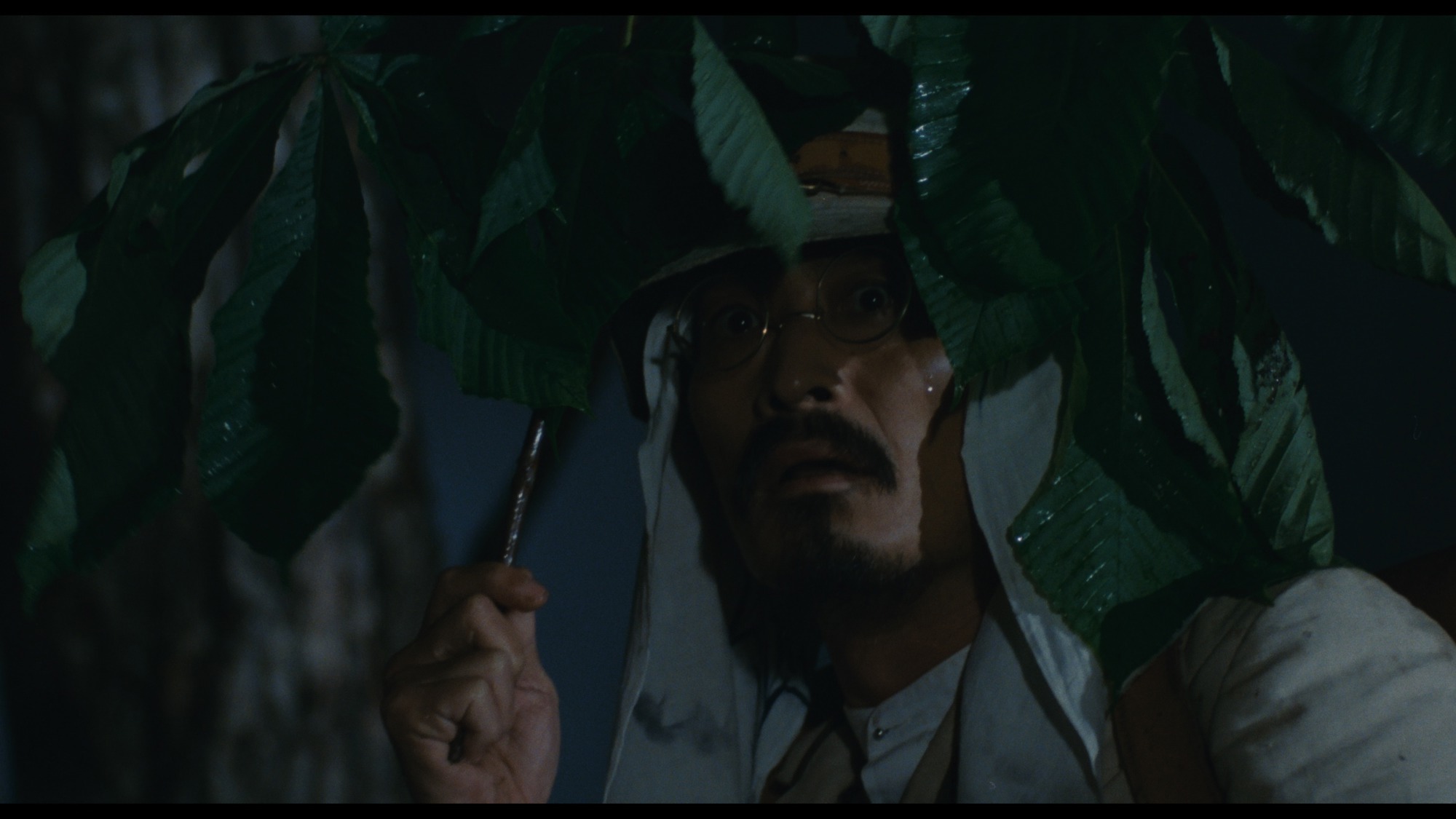 Screen capture from Demon Pond