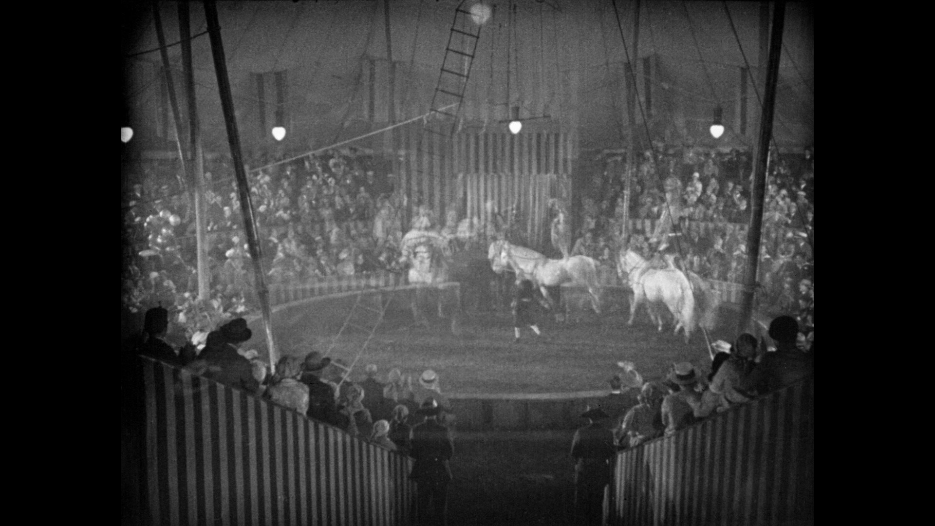 Screen capture from Freaks / The Unknown / The Mystic: Tod Browning’s Sideshow Shockers