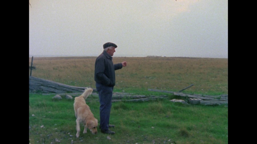 Screen capture from Ingmar Bergman’s Cinema