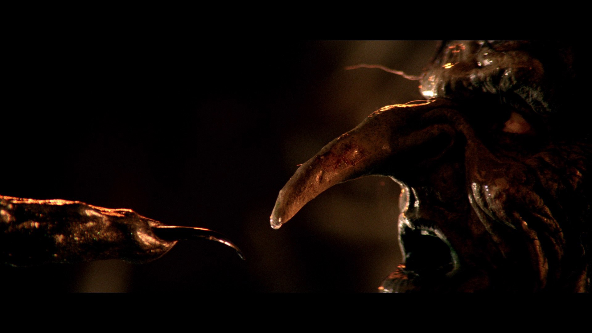 Screen capture from Legend