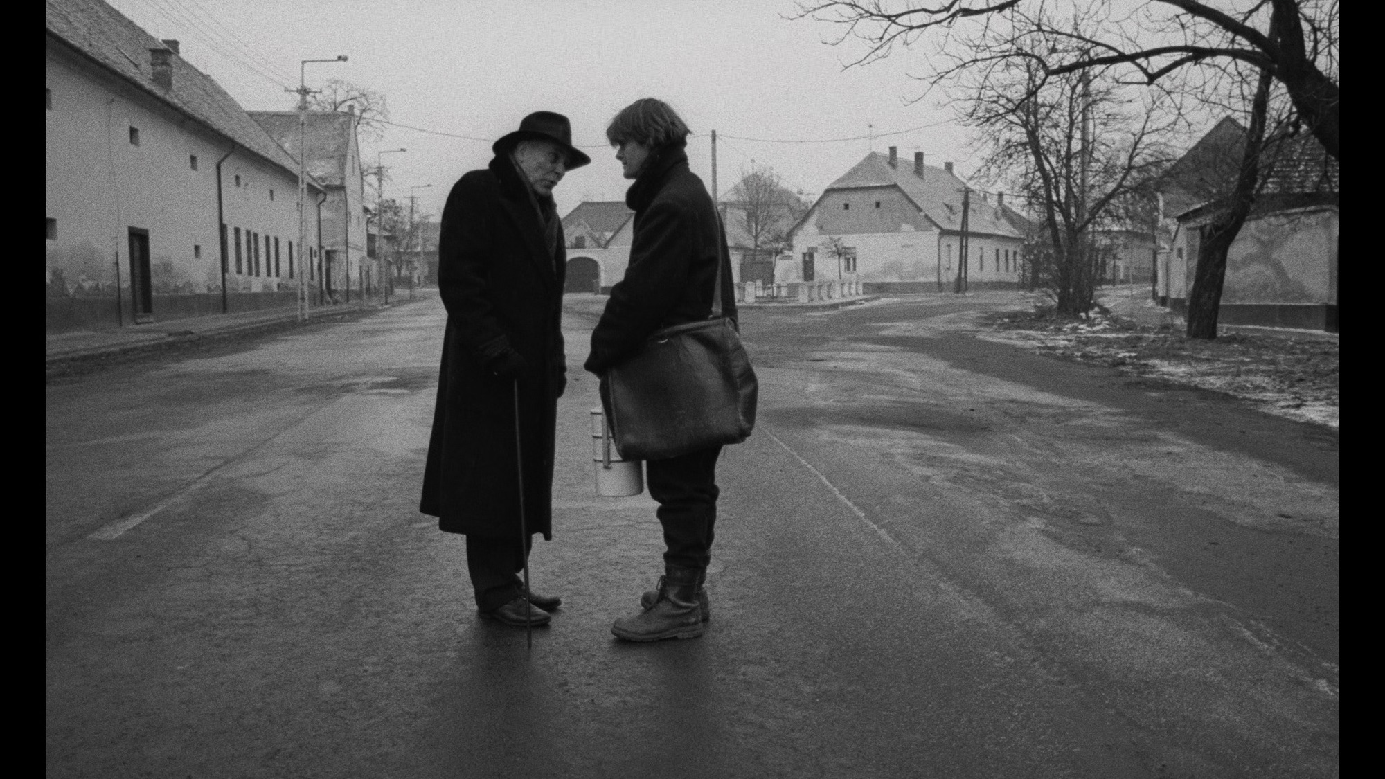 Screen capture from Werckmeister Harmonies