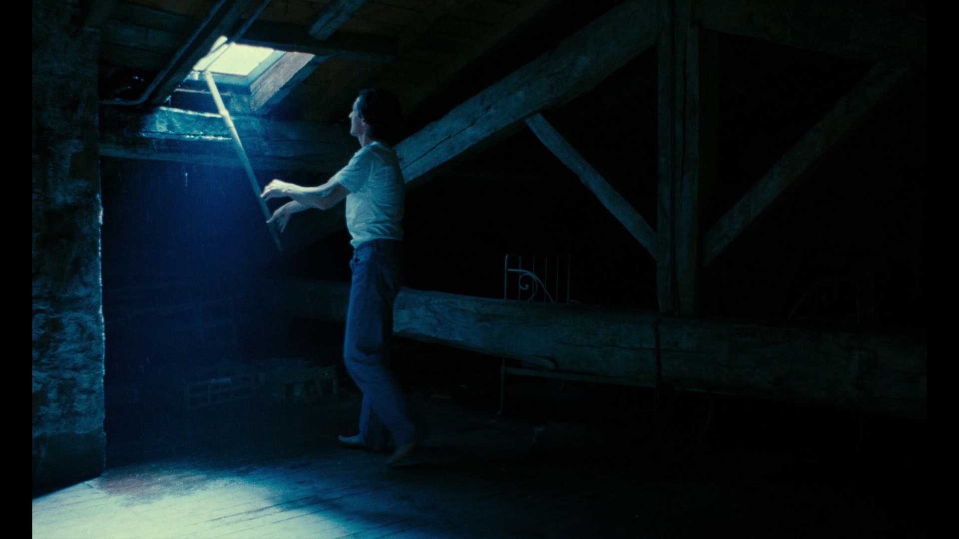 Screen capture from Torment (L’enfer)