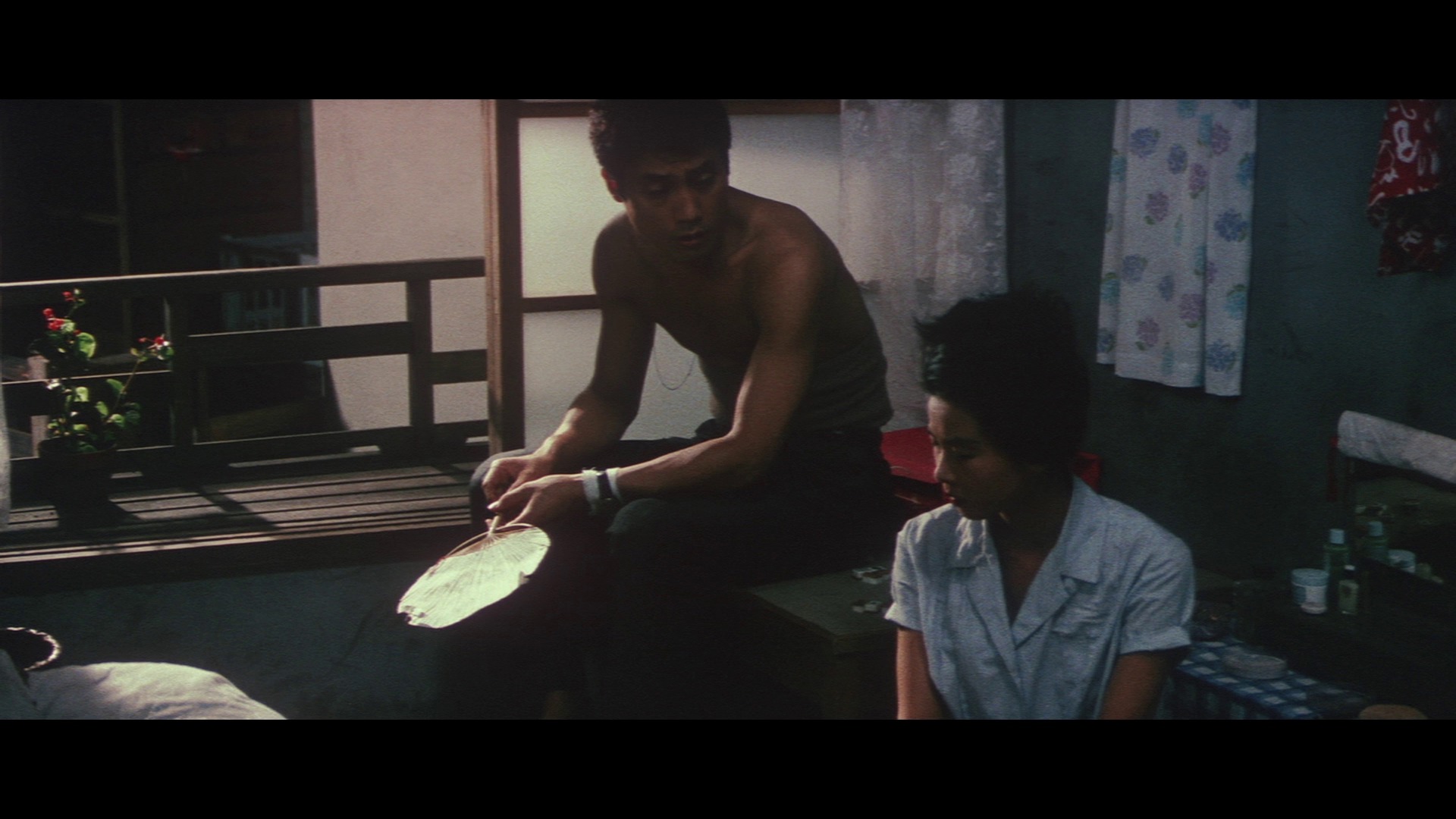 Screen capture from The Shape of Night