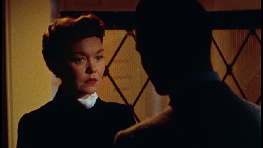 Screen capture from All That Heaven Allows