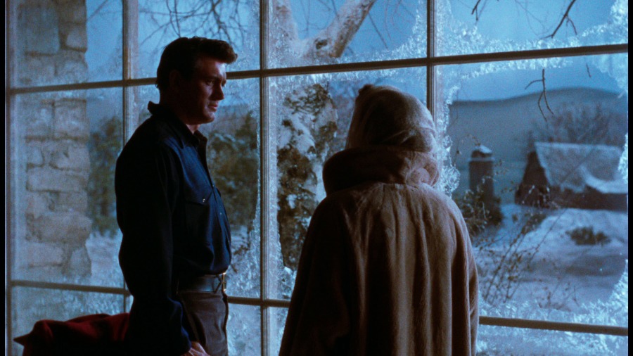 Screen capture from All That Heaven Allows