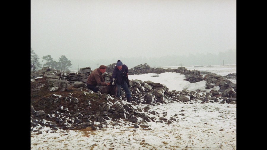 Screen capture from Ingmar Bergman’s Cinema