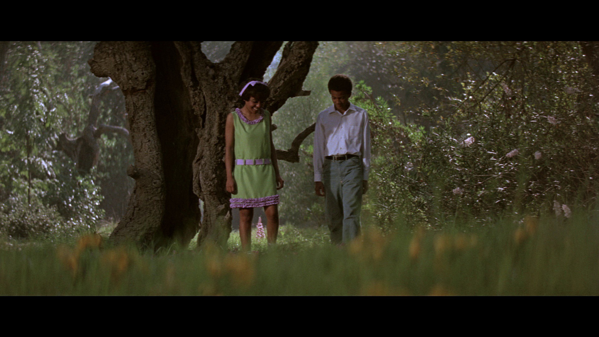 Screen capture from The Learning Tree