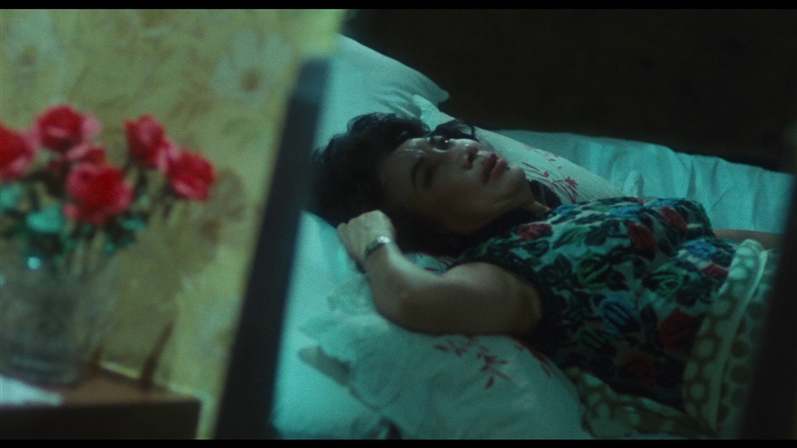 Screen capture from World of Wong Kar Wai
