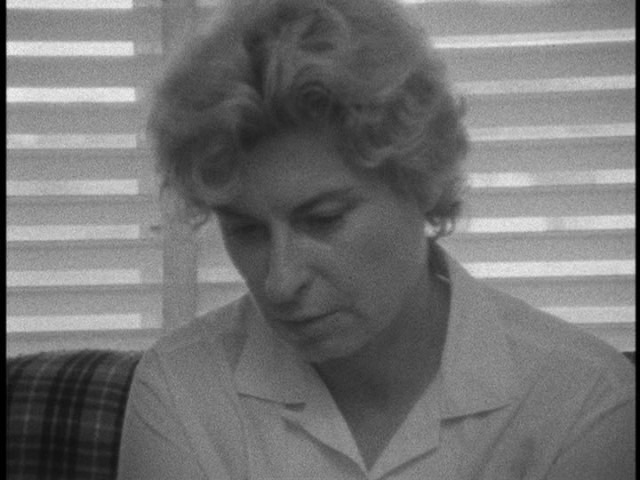 Screen capture from Salesman