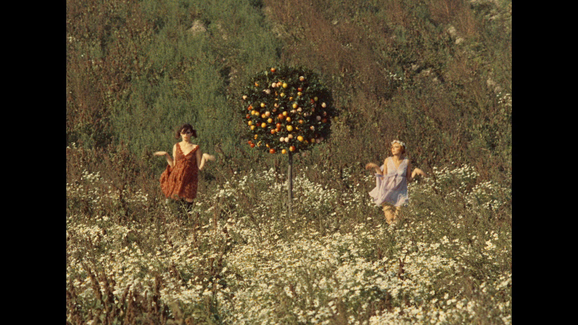 Screen capture from Daisies
