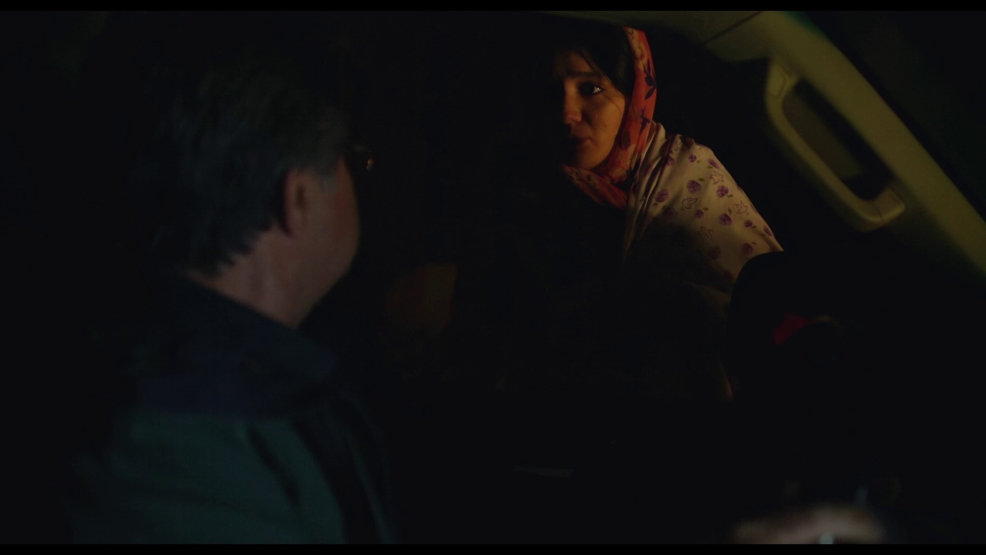 Screen capture from No Bears