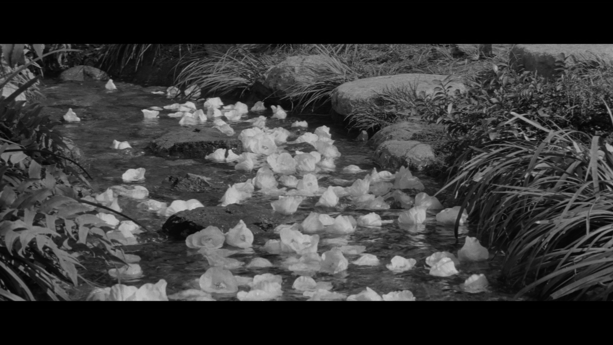 Screen capture from Sanjuro