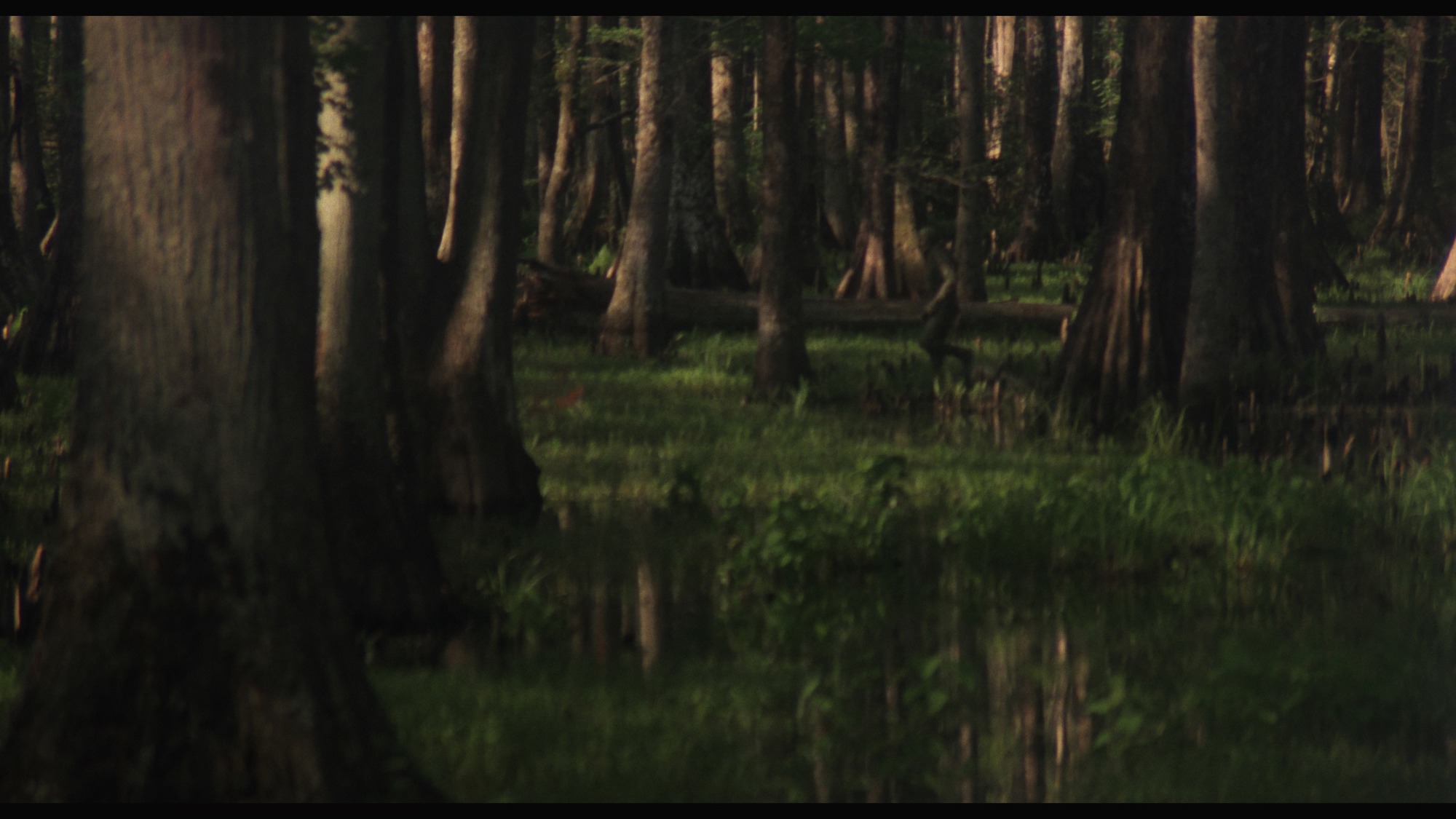 Screen capture from Swamp Thing