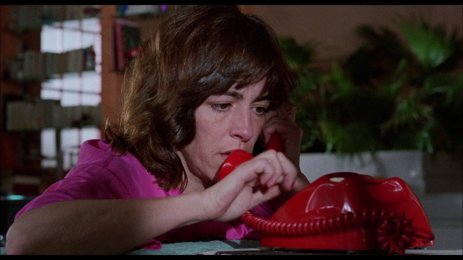 Screen capture from Women on the Verge of a Nervous Breakdown